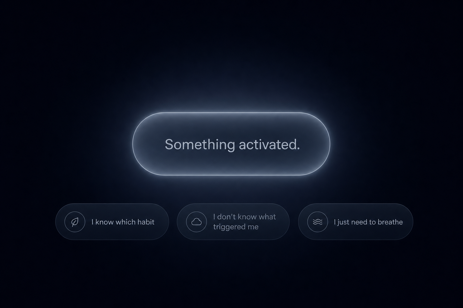 Panic Button — Entry Screen